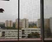 Zabezpečenie balkóna pre mačky – bezpečný priestor s poličkou na pozorovanie 4
