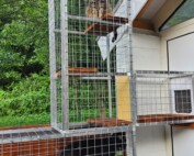 Mačacia voliéra a tunely okolo domu – bezpečný a bezúdržbový raj pre mačky 2