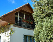 Zabezpečenie atypického balkóna pre mačky – bezpečnosť, štýl a individuálne riešenie