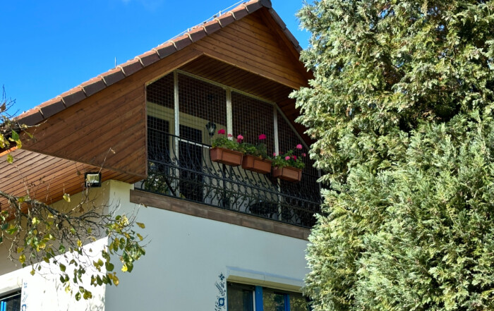 Zabezpečenie atypického balkóna pre mačky – bezpečnosť, štýl a individuálne riešenie