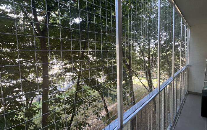 6-metrový bezpečný balkón pre mačky – sloboda aj bezpečie v jednom 3