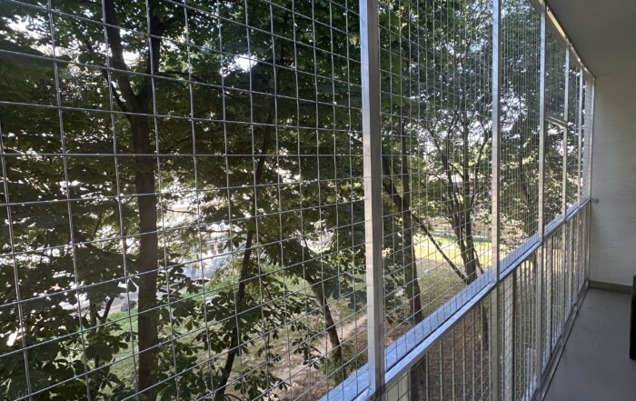 6-metrový bezpečný balkón pre mačky – sloboda aj bezpečie v jednom 5