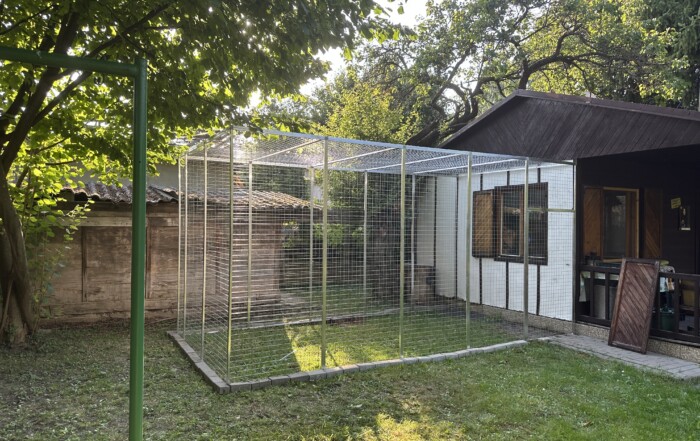 Veľká záhradná voliéra pre mačky – 5 m dĺžka, 2,5 m výška a 2,5 m hĺbka 2