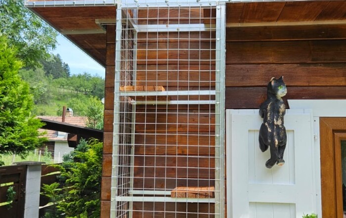 Mačacia voliéra a tunely okolo domu – bezpečný a bezúdržbový raj pre mačky