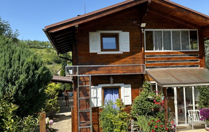 Mačacia voliéra a tunely okolo domu – bezpečný a bezúdržbový raj pre mačky 6
