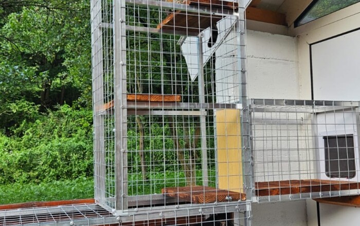 Mačacia voliéra a tunely okolo domu – bezpečný a bezúdržbový raj pre mačky 2